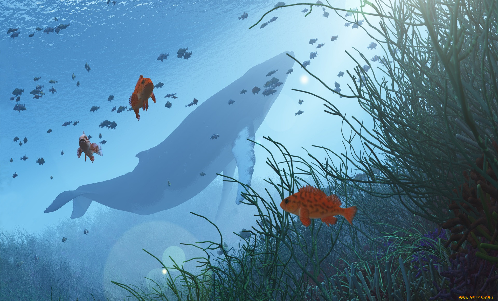 3 ,  , animals, , , , 
